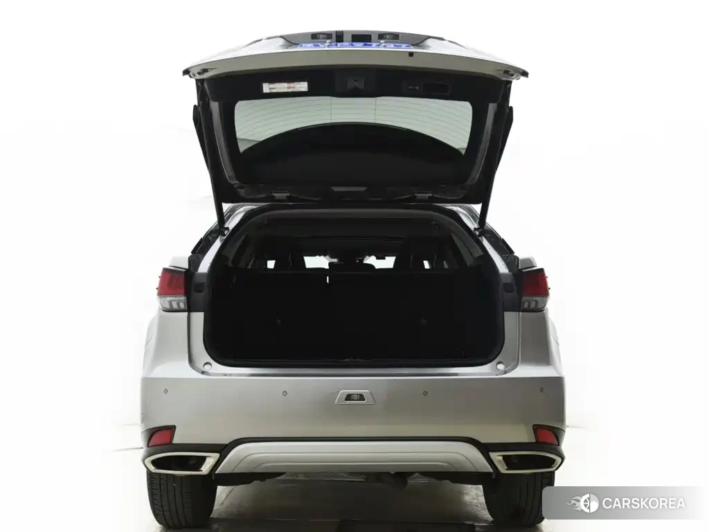 Lexus RX id 4685911 из Китая 7