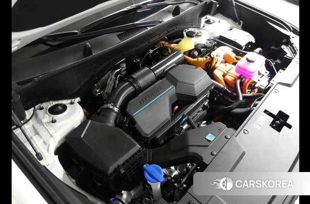 Hyundai Santa Fe (MX5) 2024 Белый из Кореи, фото 3
