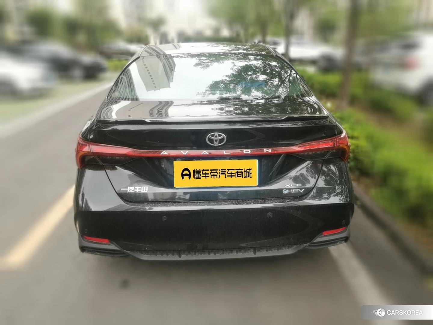 Toyota Asian dragon id 4455121 из Китая 9