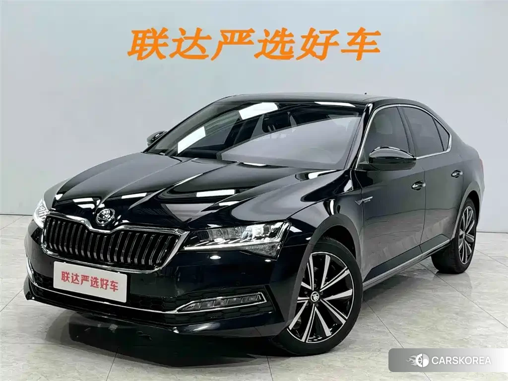 Skoda Speed pie id 4538728 из Китая 12