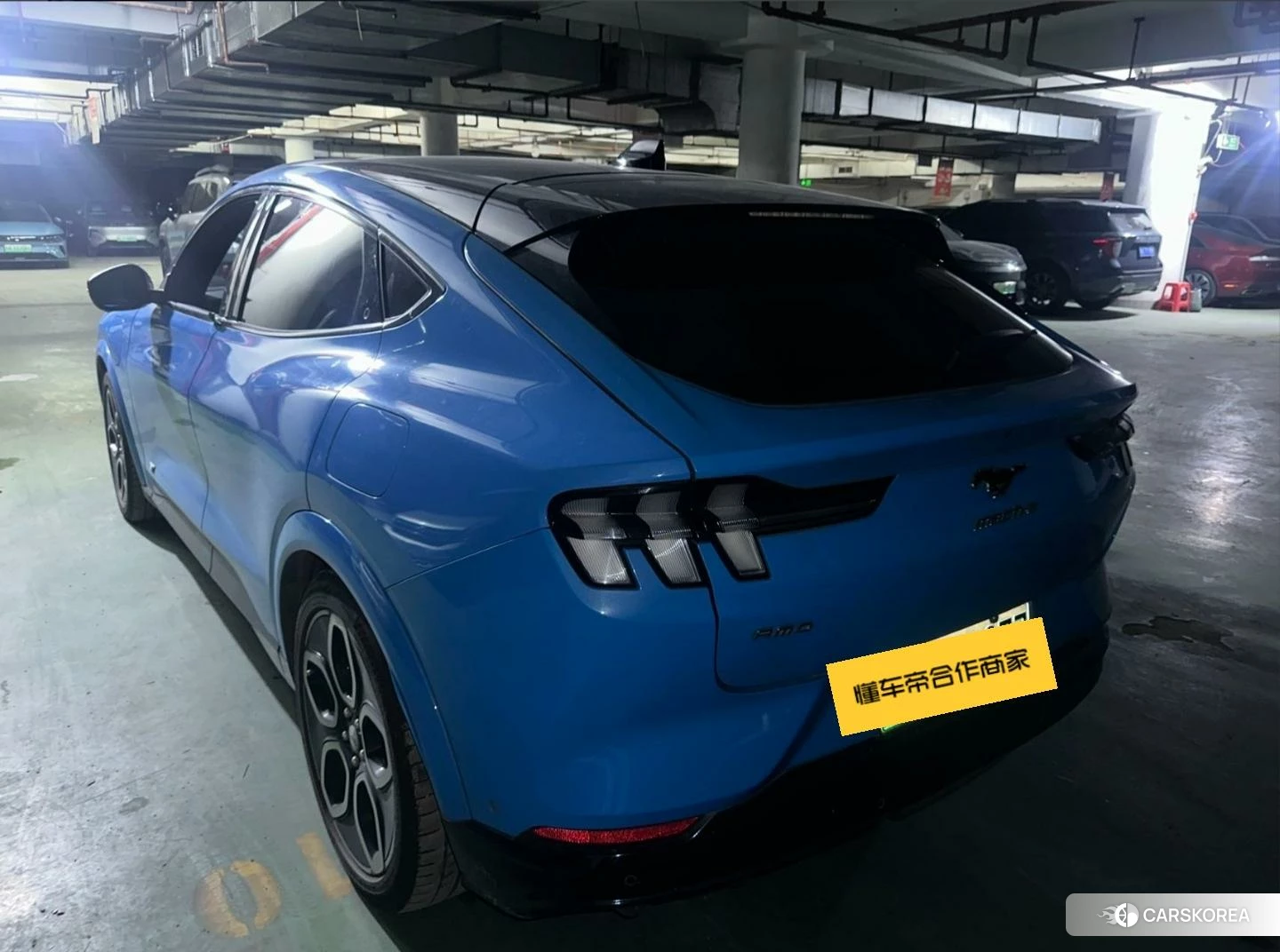 Ford Electric horse 2021 Синий из Китая, фото 2