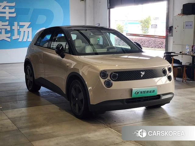 firefly firefly Unknown 2025 Шампань из Китая, фото 2