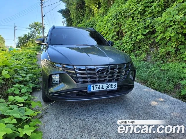 Hyundai Tucson Hybrid (NX4) 2020 Серый из Кореи, фото 5