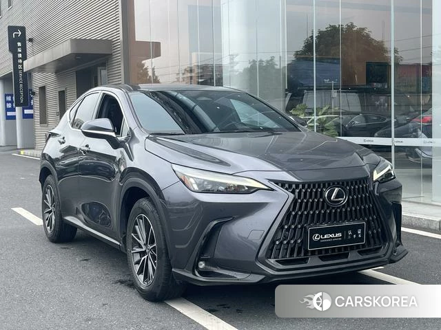 Lexus NX 2022 Темно-серый из Китая, фото 3