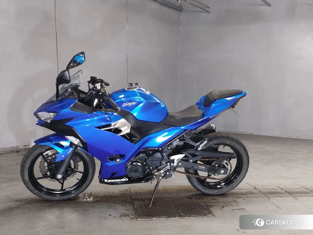 Проданный Kawasaki NINJA 250 2018 из Японии