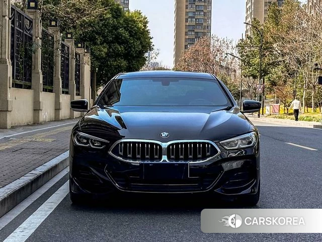BMW 8 series id 3909012 из Китая 12