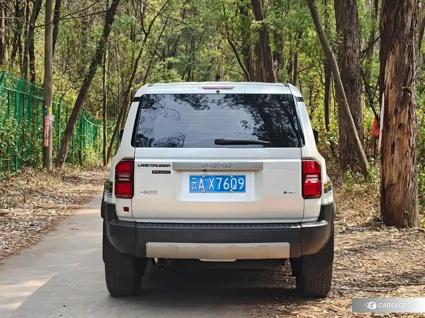 Toyota Prado id 4600726 из Китая 11