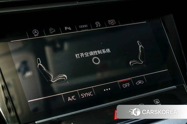 Audi Q6 id 4273501 из Китая 12