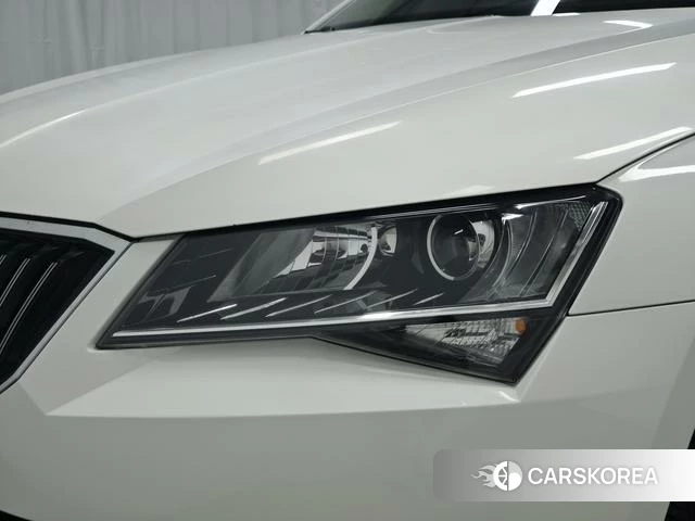 Skoda Speed pie id 4212782 из Китая 12