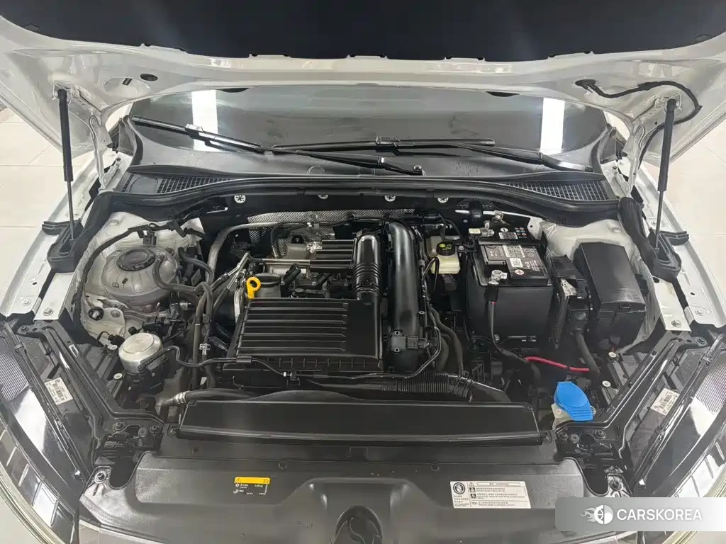 Skoda Speed pie id 4553923 из Китая 12