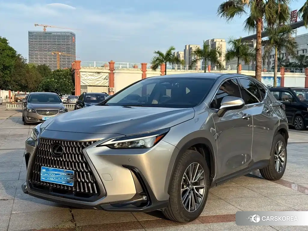 Lexus NX 2023 Silver/gray из Китая, фото 2