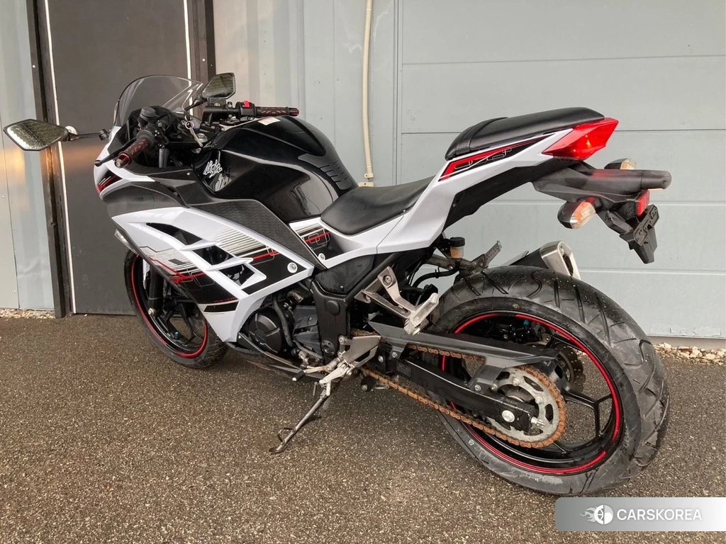 Проданный OTHER Ninja 250 ABS SE 2014 из Японии