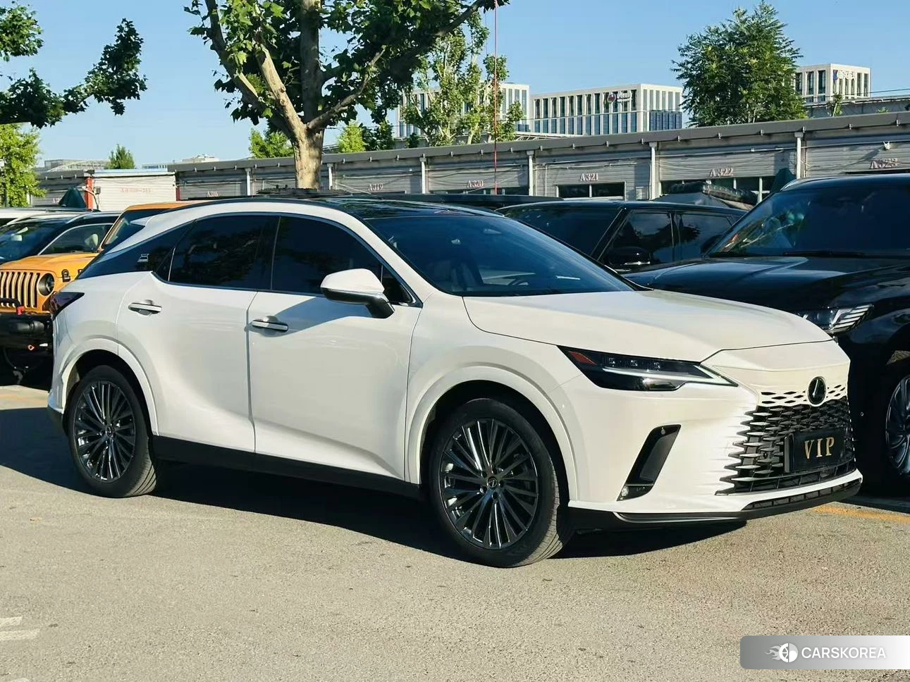 Lexus RX id 4426762 из Китая 12