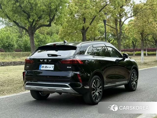 Wei Pai Mocha 2021 Черный из Китая, фото 2