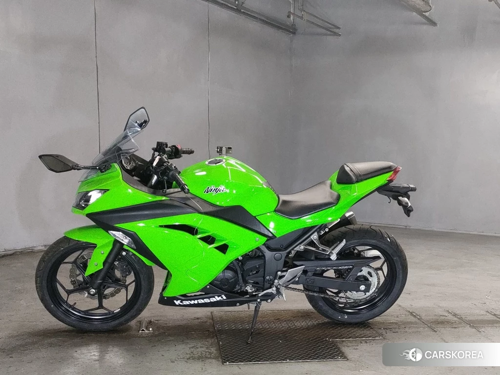 Проданный Kawasaki NINJA 250 2014 из Японии
