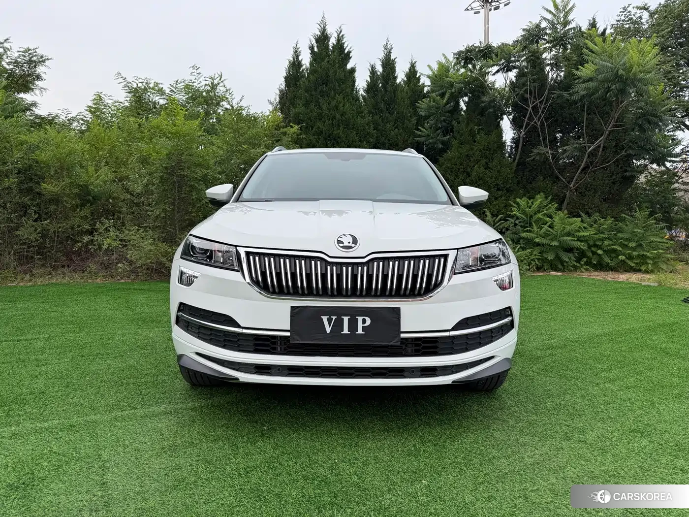 Skoda Karoq id 4629076 из Китая 8