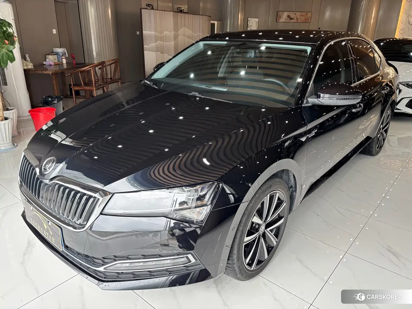 Skoda Speed pie id 4538741 из Китая 12