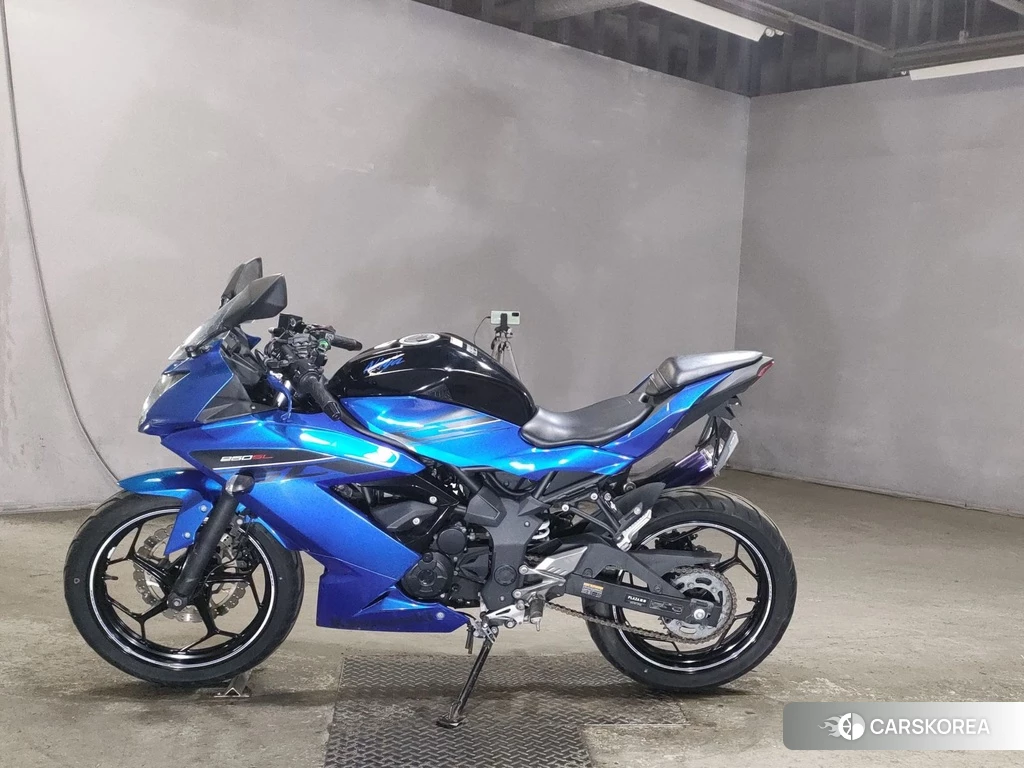 Проданный Kawasaki NINJA 250SL 2015 из Японии, фото 2
