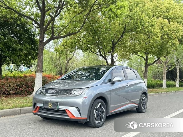 BYD dolphin id 3983308 из Китая 9