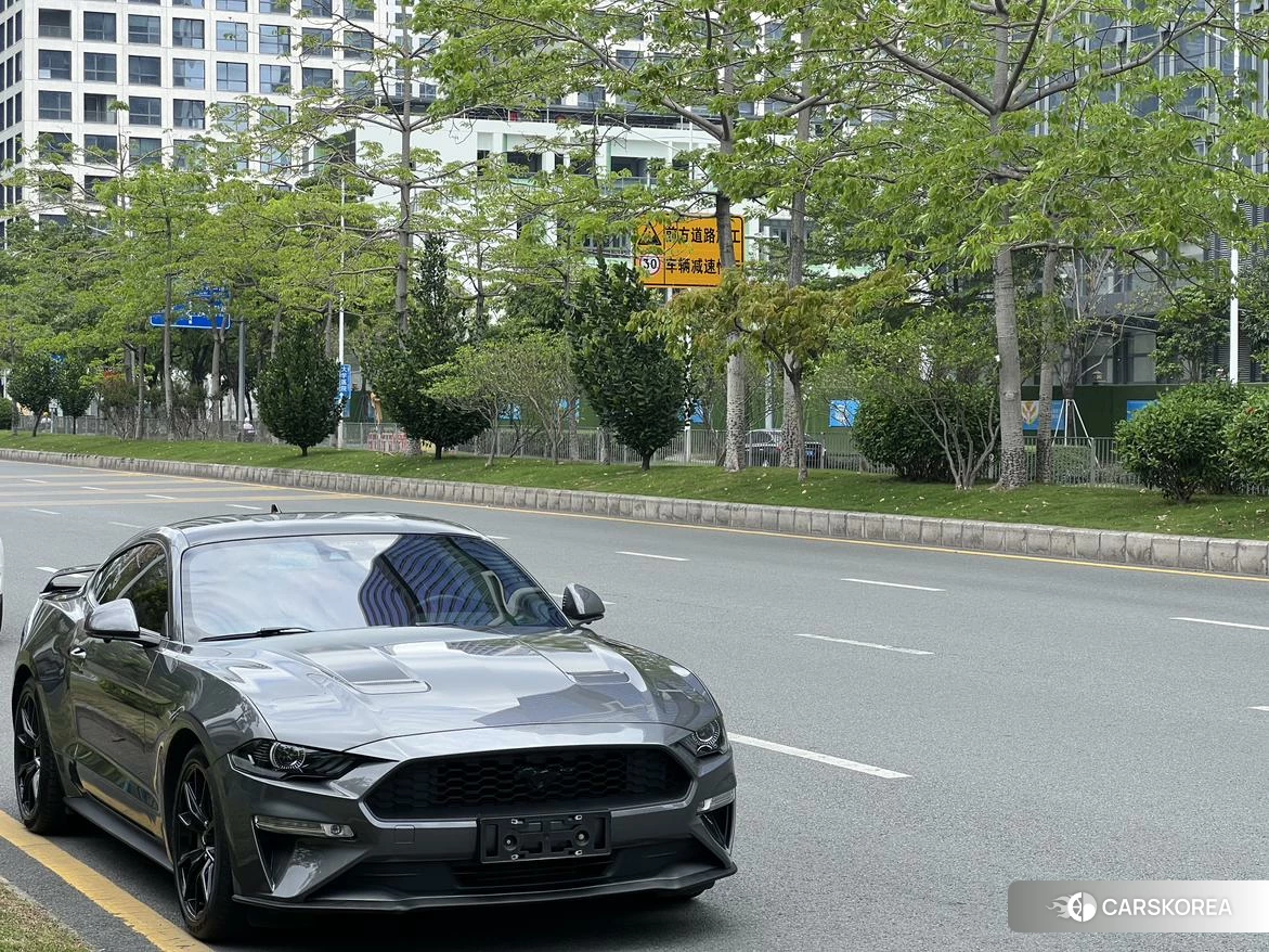 Ford Mustang id 4485530 из Китая 12