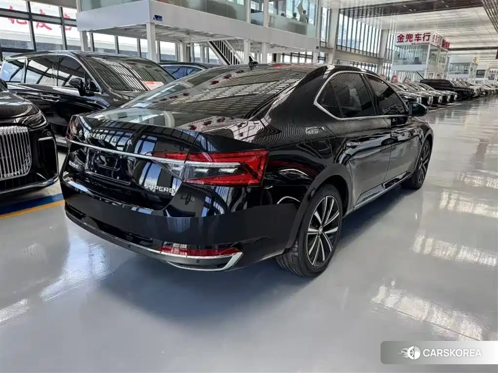 Skoda Speed pie 2026 Черный из Китая, фото 2