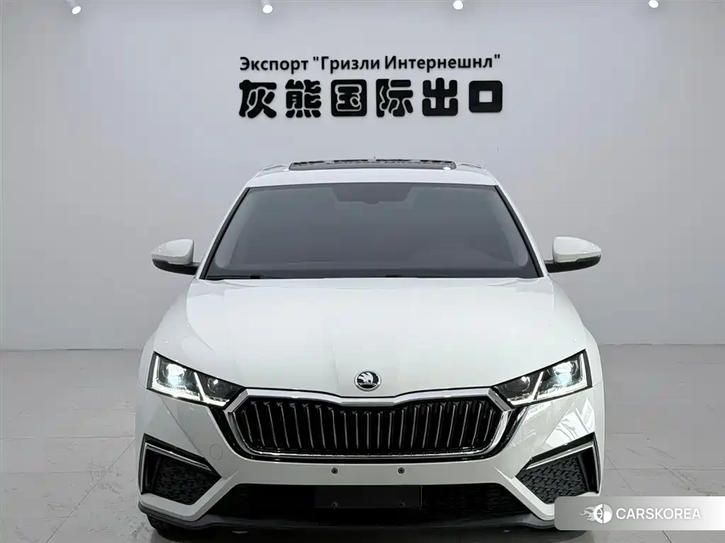 Skoda Octavia id 4548078 из Китая 9