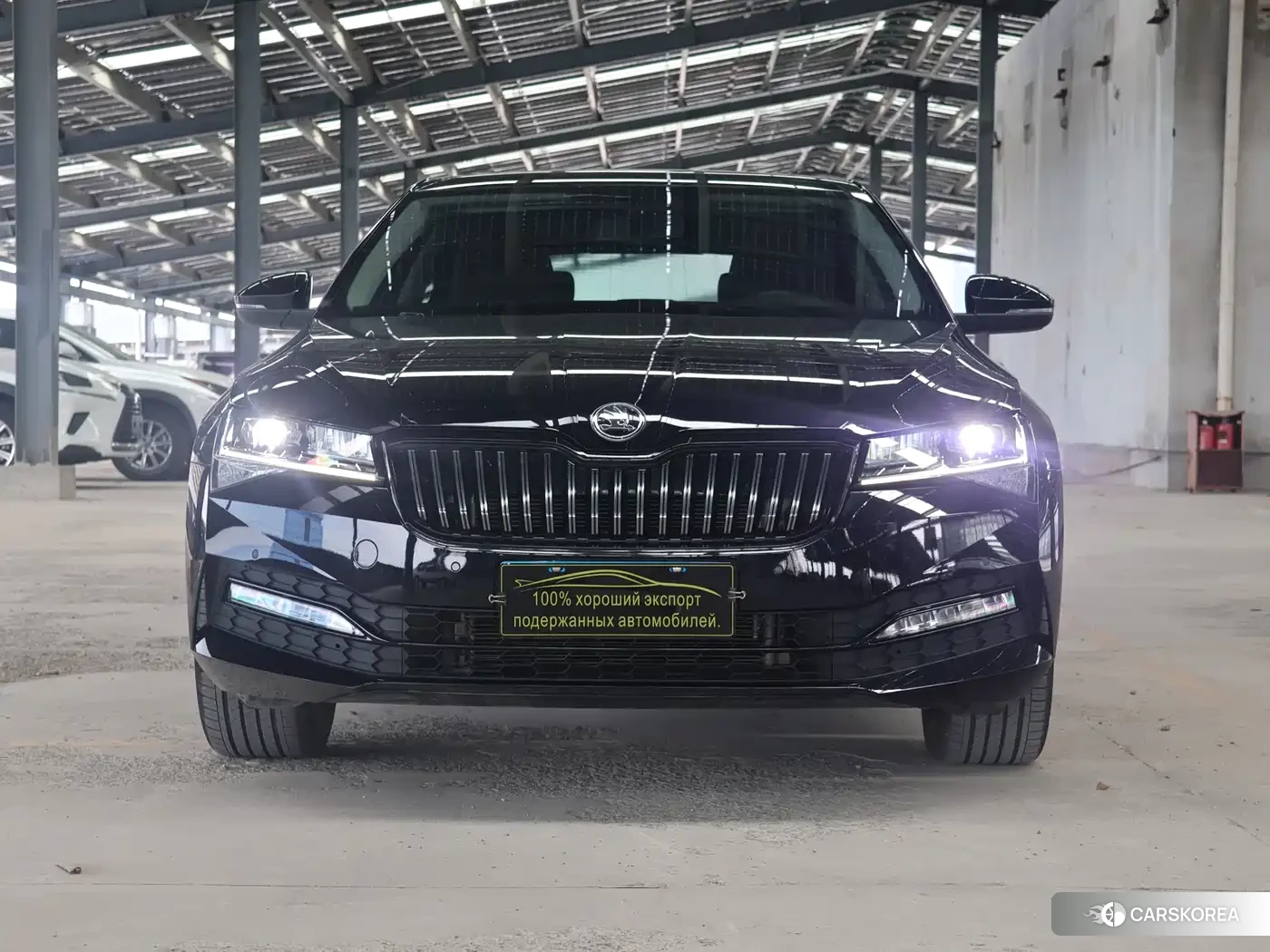 Skoda Speed pie id 4515545 из Китая 8