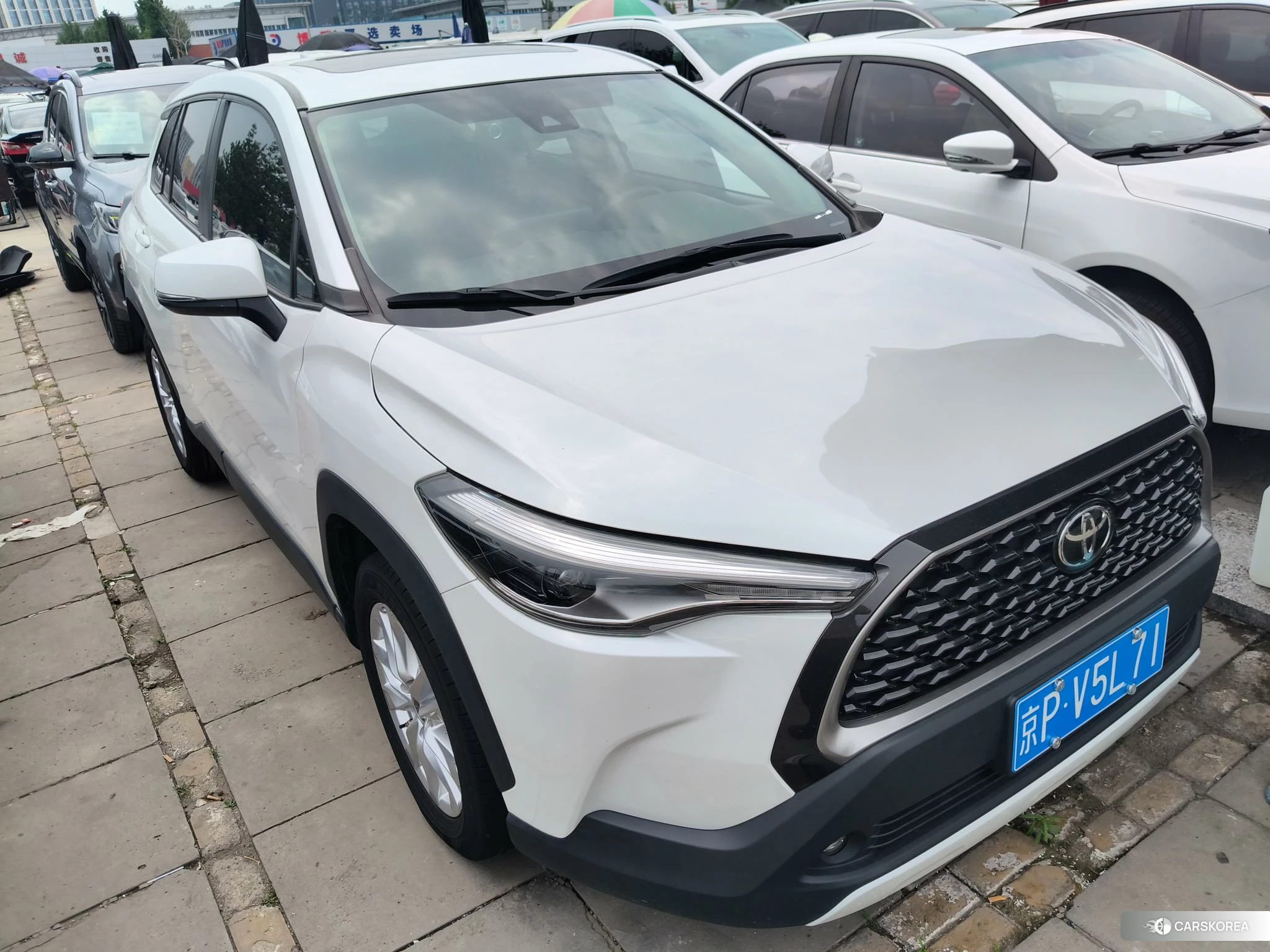 Toyota Corolla Sharp amplifier 2022 Белый из Китая, фото 6