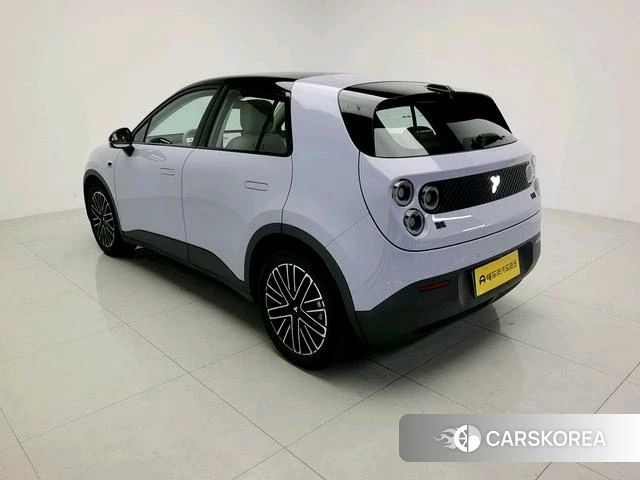 firefly firefly Unknown id 4190398 из Китая 12