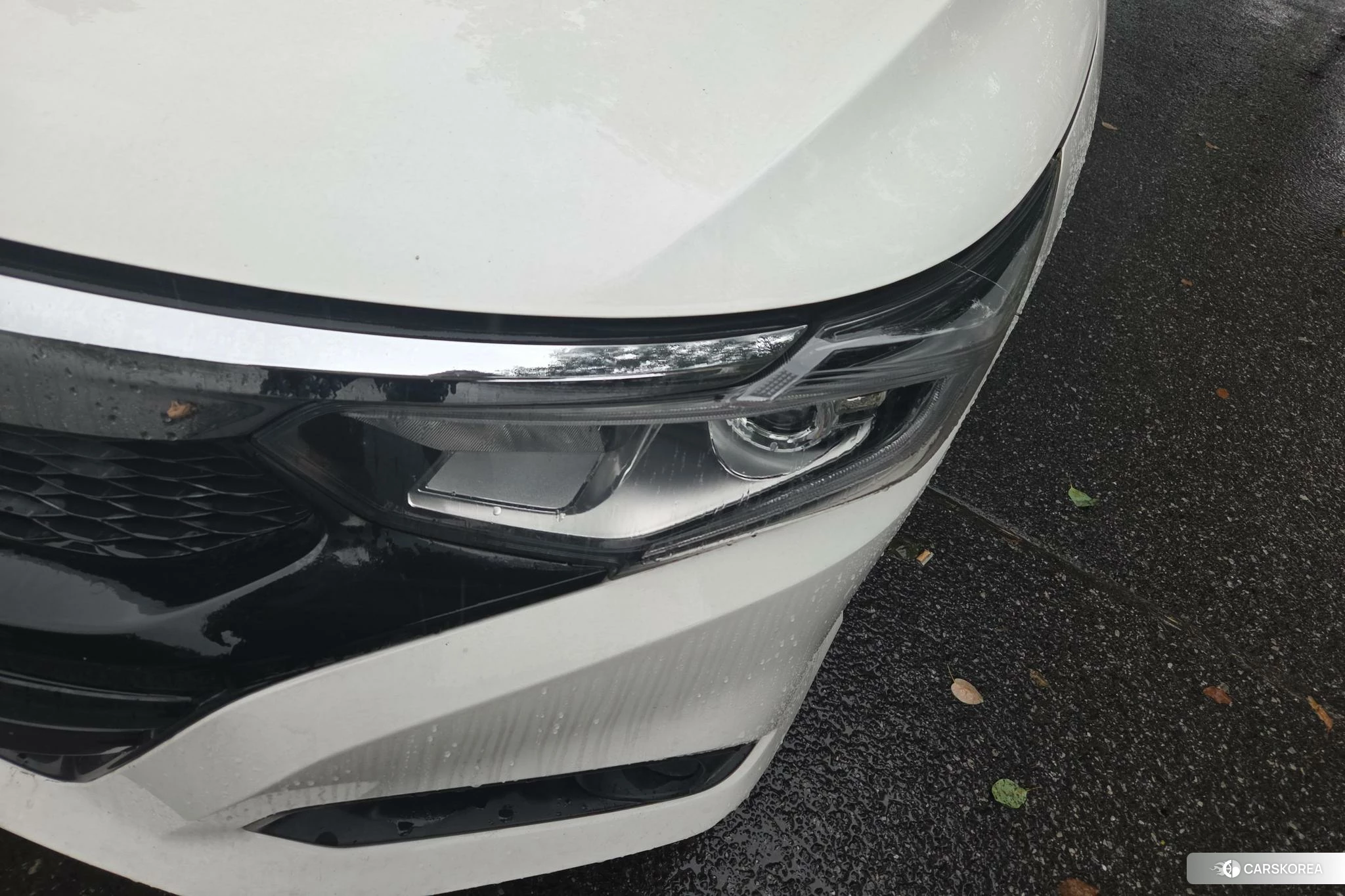 Honda Lingpai id 4487271 из Китая 9