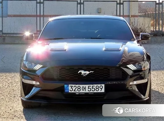 Ford Mustang id 3504392 из Кореи 11