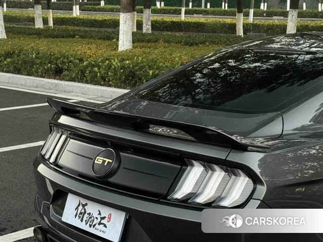 Ford Mustang id 4254564 из Китая 7