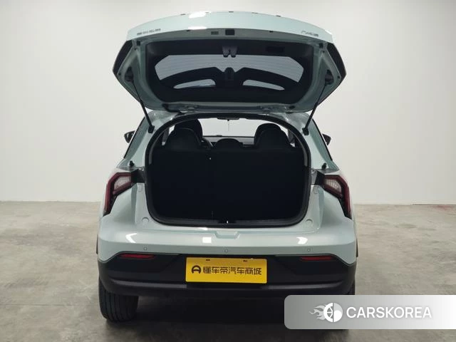 Geely Geometry E firefly id 4211719 из Китая 12