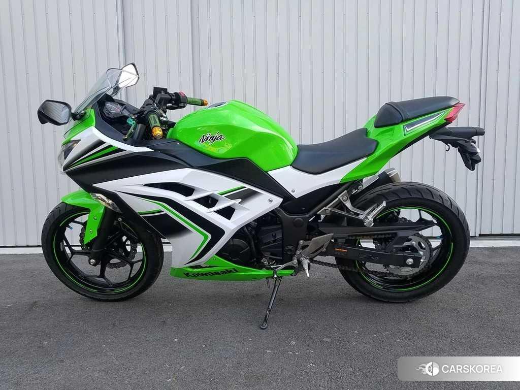 Проданный OTHER Ninja 250 SE 2016 из Японии, фото 2