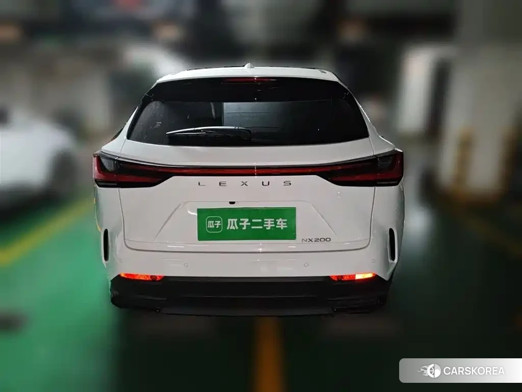Lexus NX id 4538642 из Китая 12