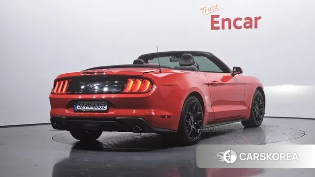 Ford Mustang id 3355124 из Кореи 12