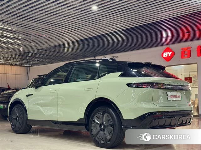 Lan Tu Soulmate id 3857835 из Китая 7