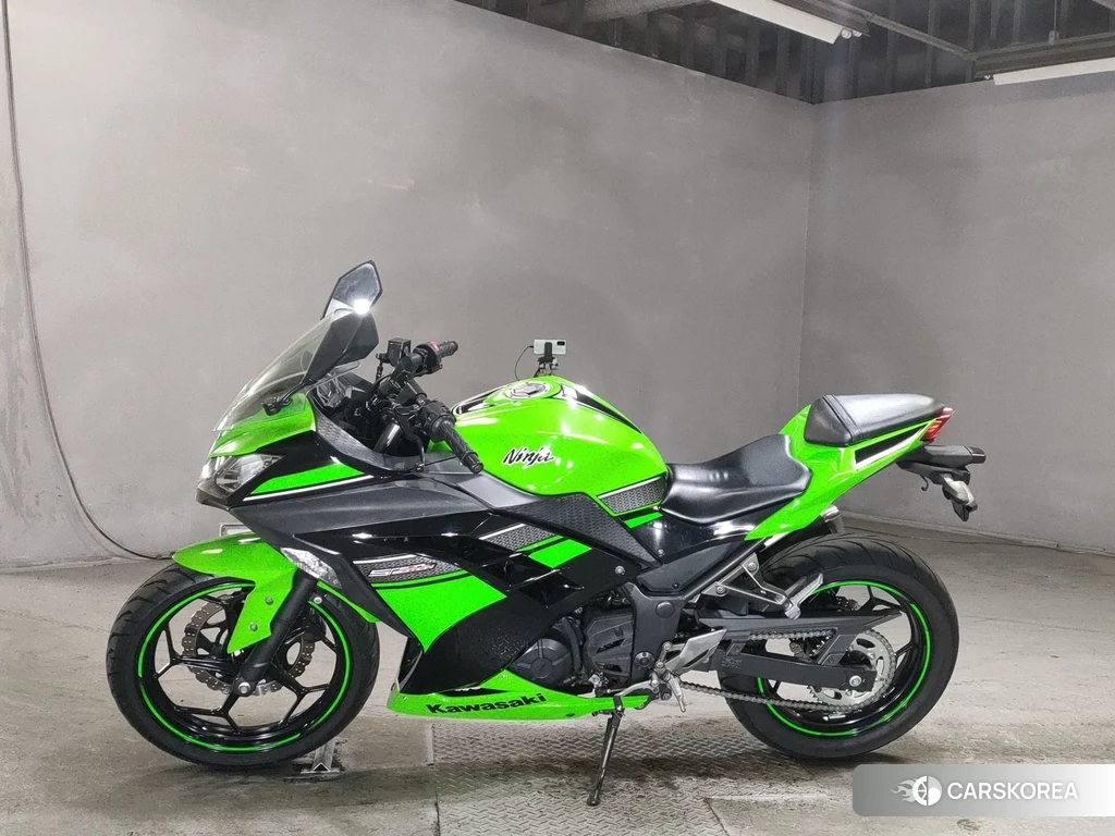 Проданный Kawasaki NINJA 250 2013 из Японии