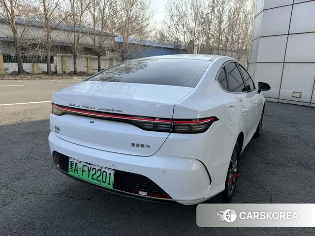 BYD Destroyer 05 2025 Белый из Китая, фото 5