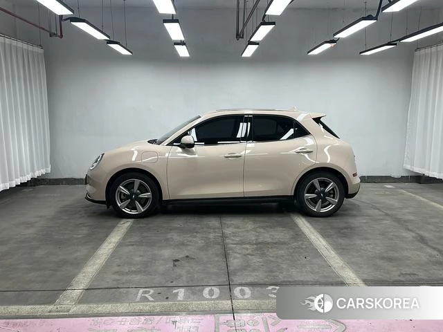 Euler Good cat id 3875987 из Китая 12