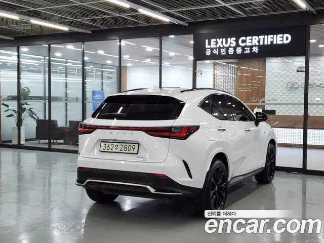 Lexus NX450h + 2nd generation id 2458277 из Кореи 12