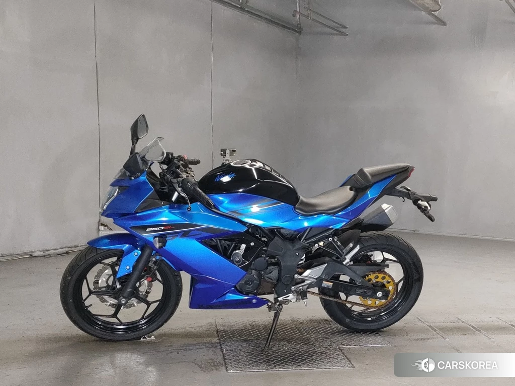 Проданный Kawasaki NINJA 250SL 2016 из Японии