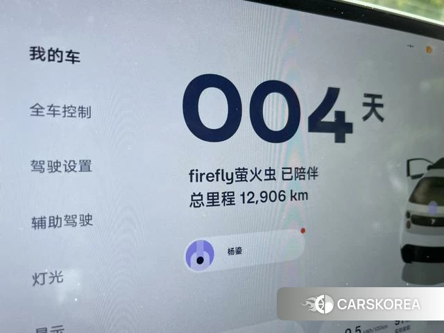 firefly firefly Unknown id 3993377 из Китая 12