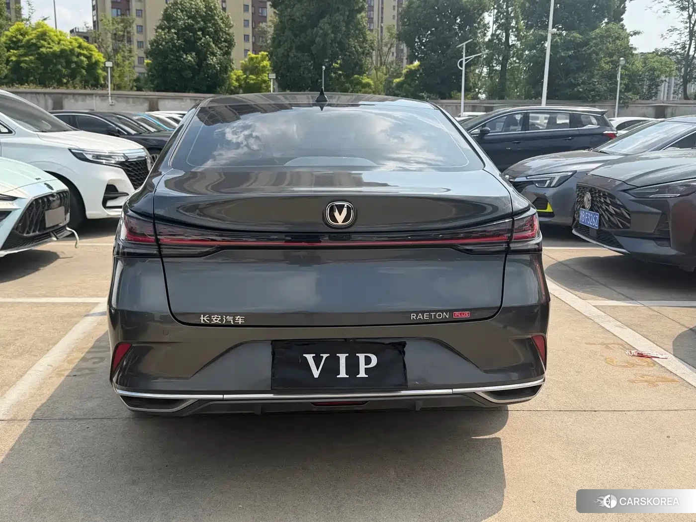 Chang'an Ruicheng PLUS 2022 Silver/gray из Китая, фото 5