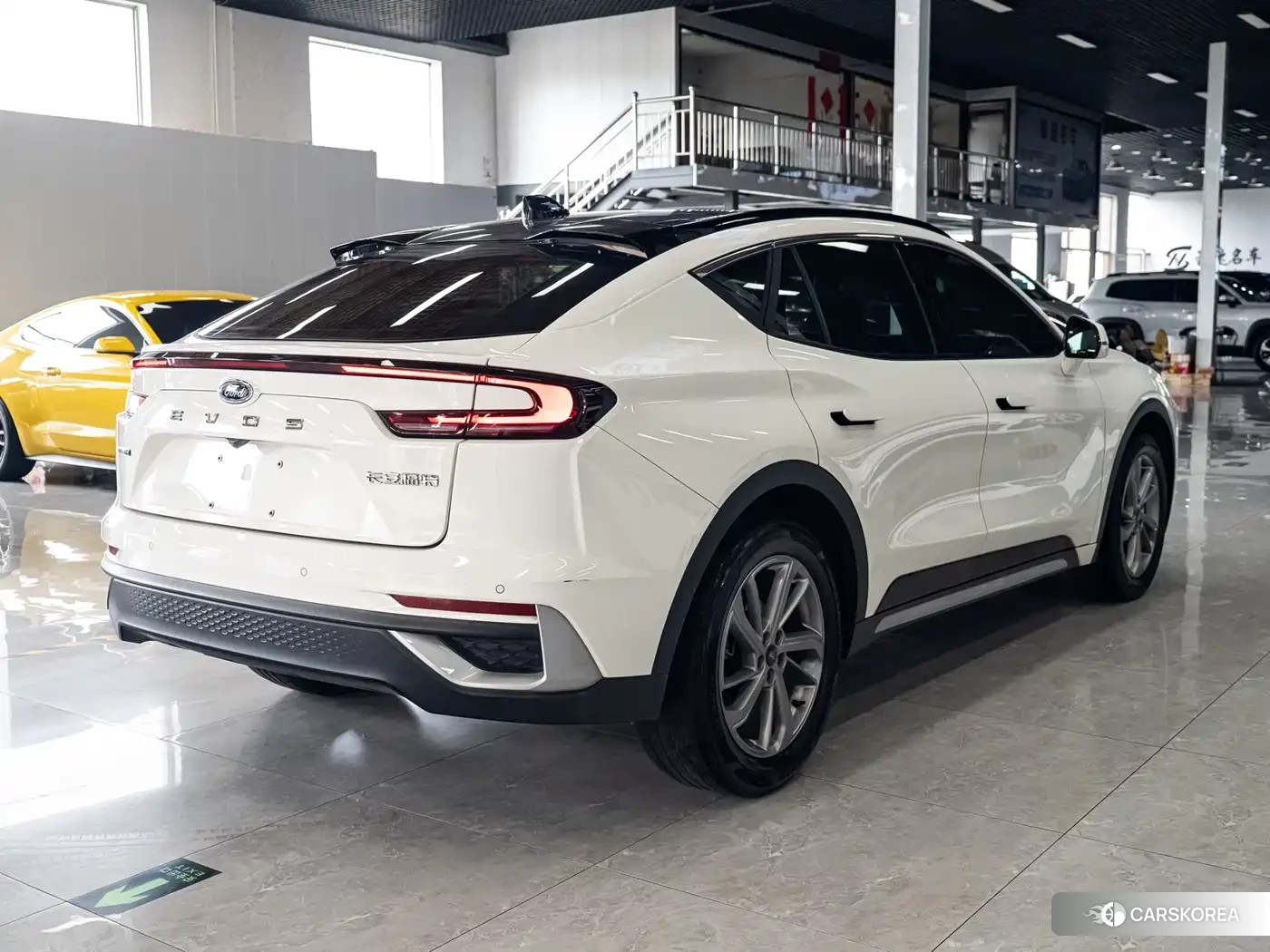 Ford EVOS 2021 Белый из Китая, фото 2