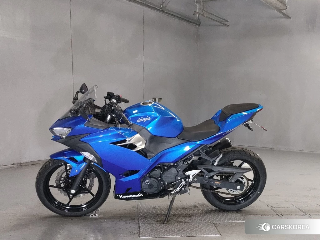 Проданный Kawasaki NINJA 250 2018 из Японии