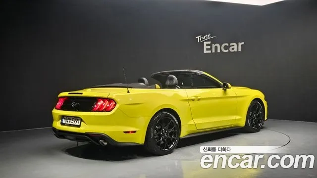 Ford Mustang id 2921629 из Кореи 12