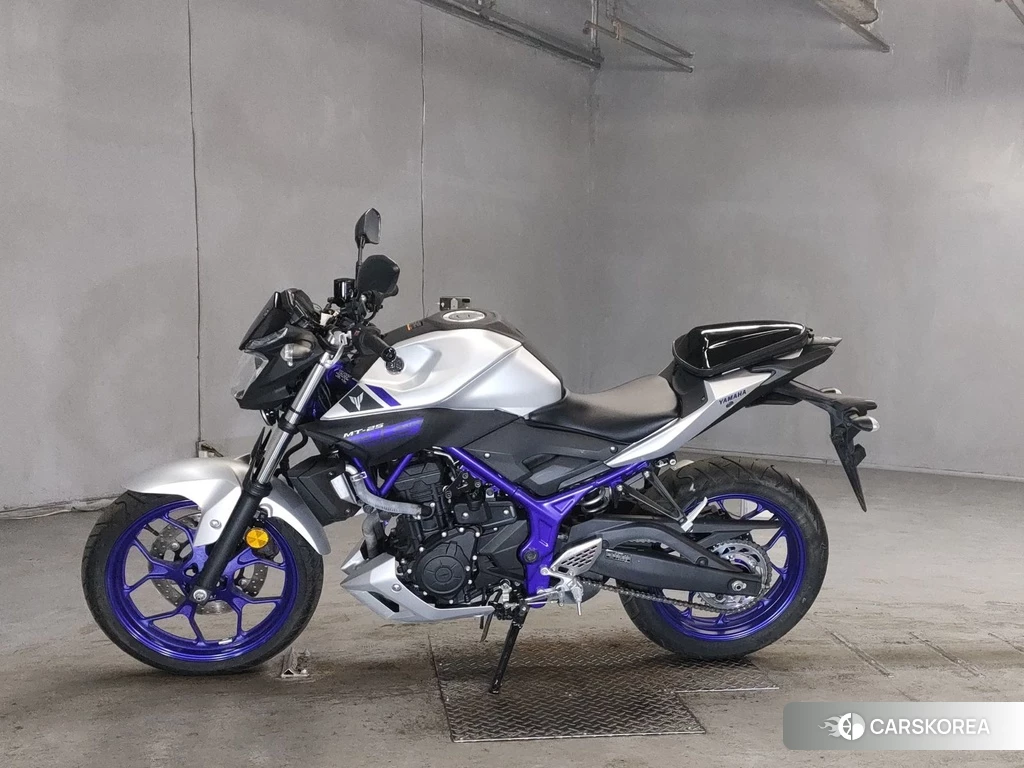 Проданный Yamaha MT-25 id 4162685 из Японии