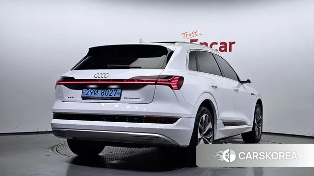 Audi e-Tron id 3060058 из Кореи 12
