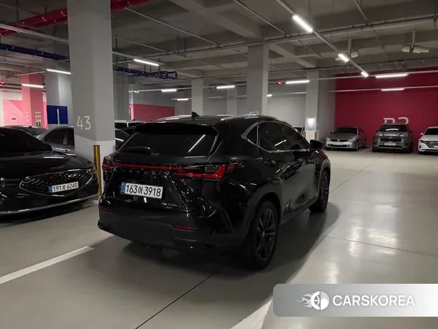 Lexus NX350h Second generation id 3543983 из Кореи 8